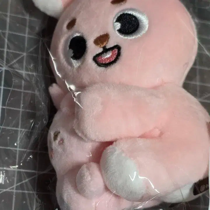 [미개봉] DAY6 원필 나안아 필끼