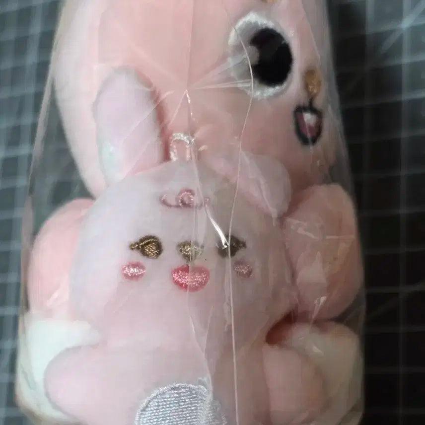 [미개봉] DAY6 원필 나안아 필끼