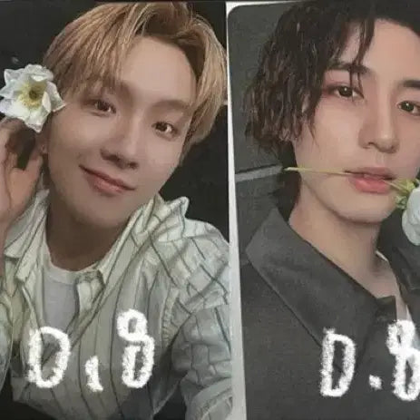 보넥도 보이넥스트도어 이한 포카 양도 교환