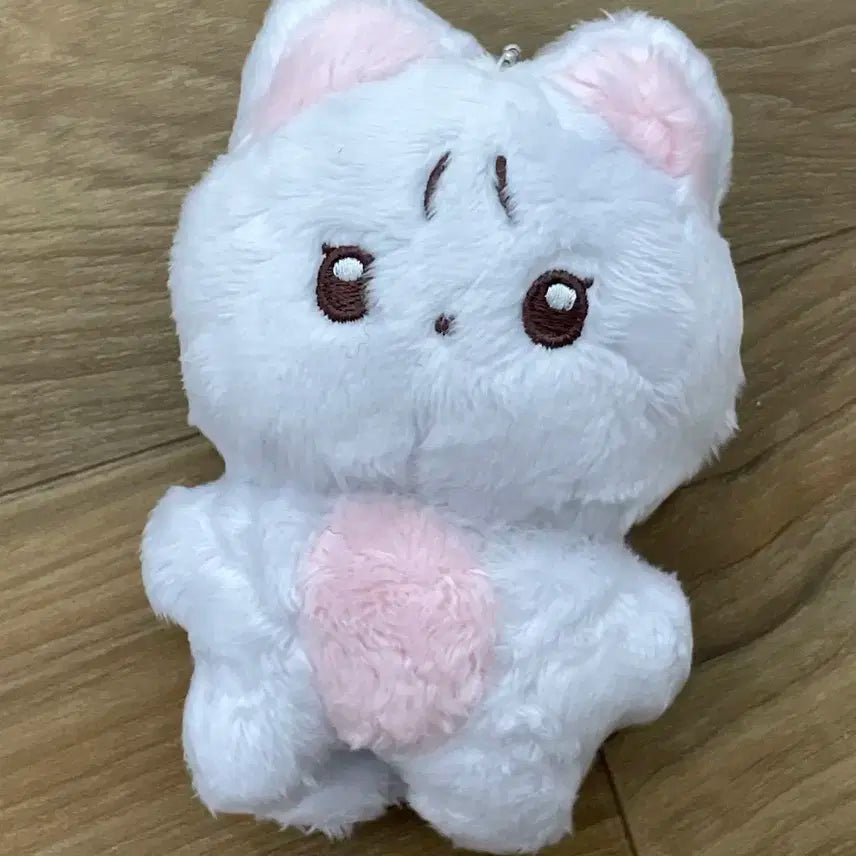 더보이즈 뉴 인형 차니냥