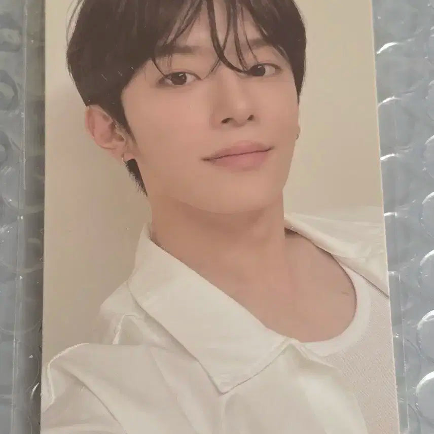 보플 아카이브 2주차 유강민 8번 포카