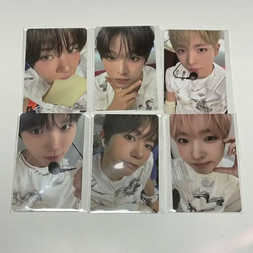 NCT WISH 컬러 슴스토어대면 미공포 세트