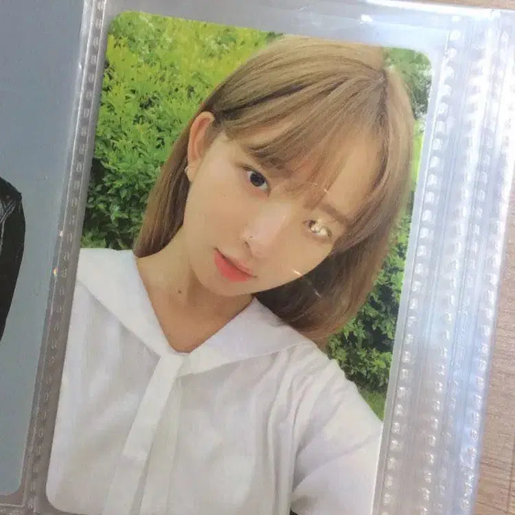 아이브 레이 포토카드 판매