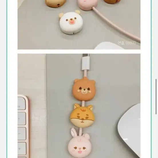 데이식스 필끼 홀더