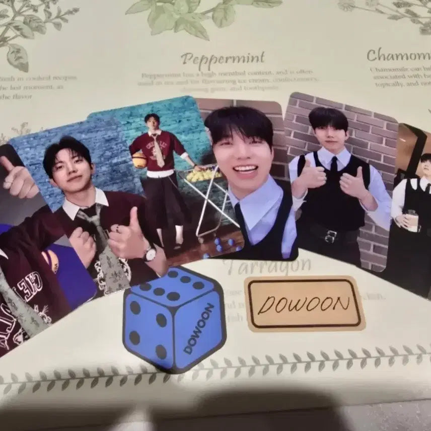 데이식스 도운 네모반 포카