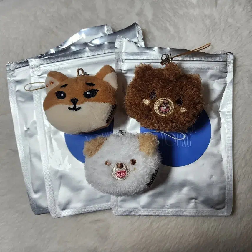 데이식스 페이스키링 쁘멀 방