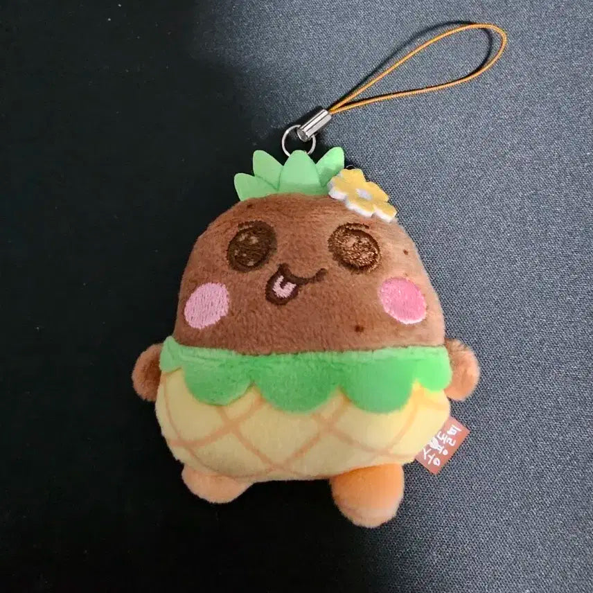 라이즈 송용돌이 태닝라이즈 파인애플