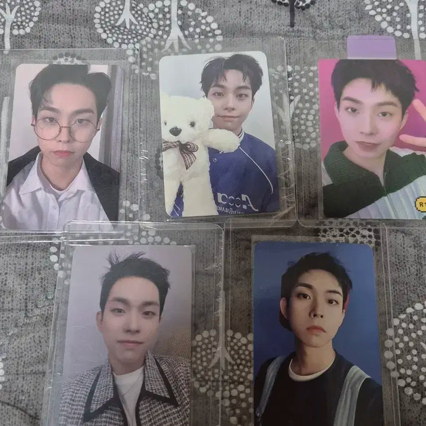 일괄)루시 최상엽 포카 양도