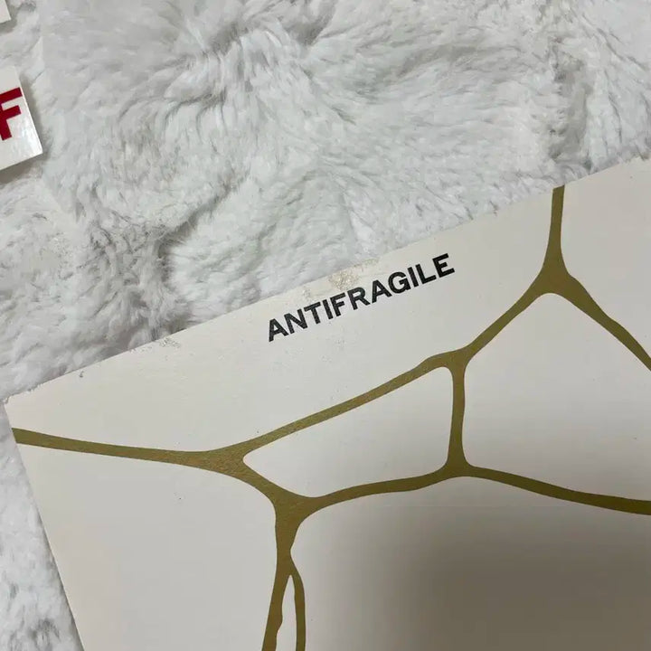 르세라핌 antifragile 안티프래자일 포카 앨범 모음 일괄급처 판매