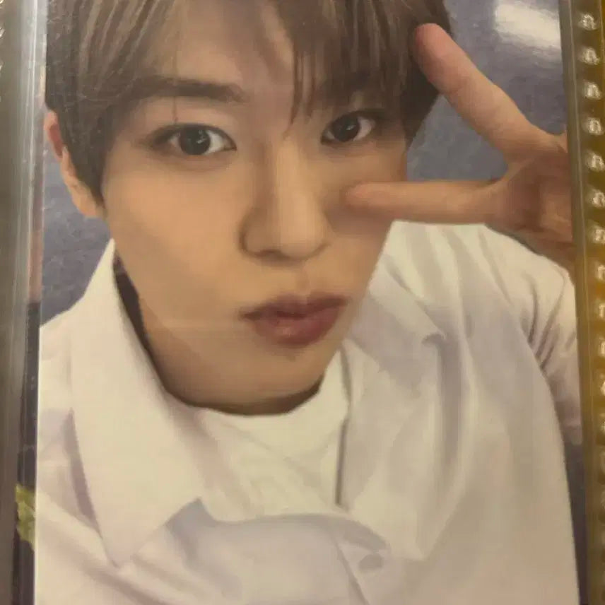 엔시티위시 시온