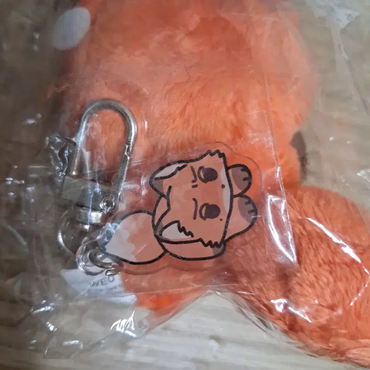 에스파 윈터 비공식 여우직직이