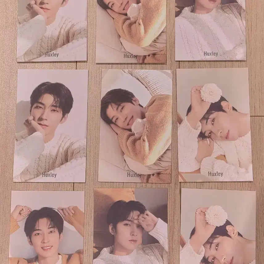 Huxley 세븐틴 원우 포토카드 1세트 (한정판)