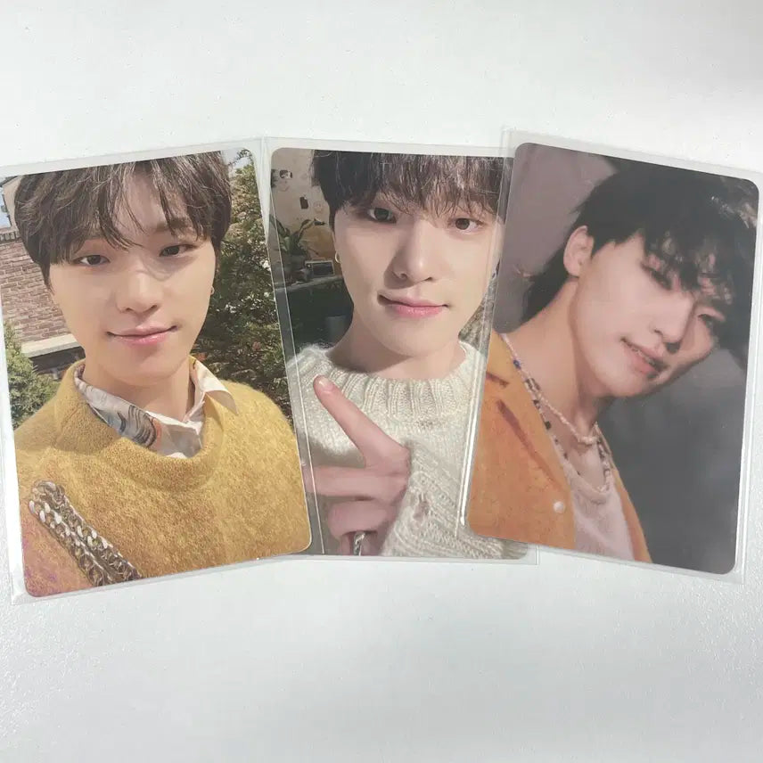 세븐틴 디노 페더썬 HOT 핫 위버스버전 앨범 포카 포토카드 3장 세트