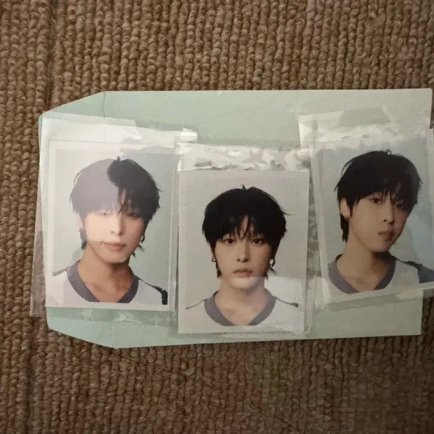 위시 컬러 리쿠 증사 풀세트