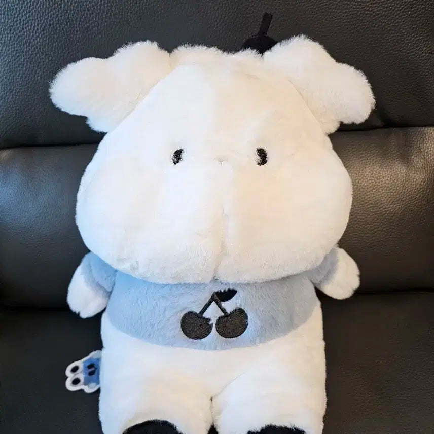 곰인형 판매합니다