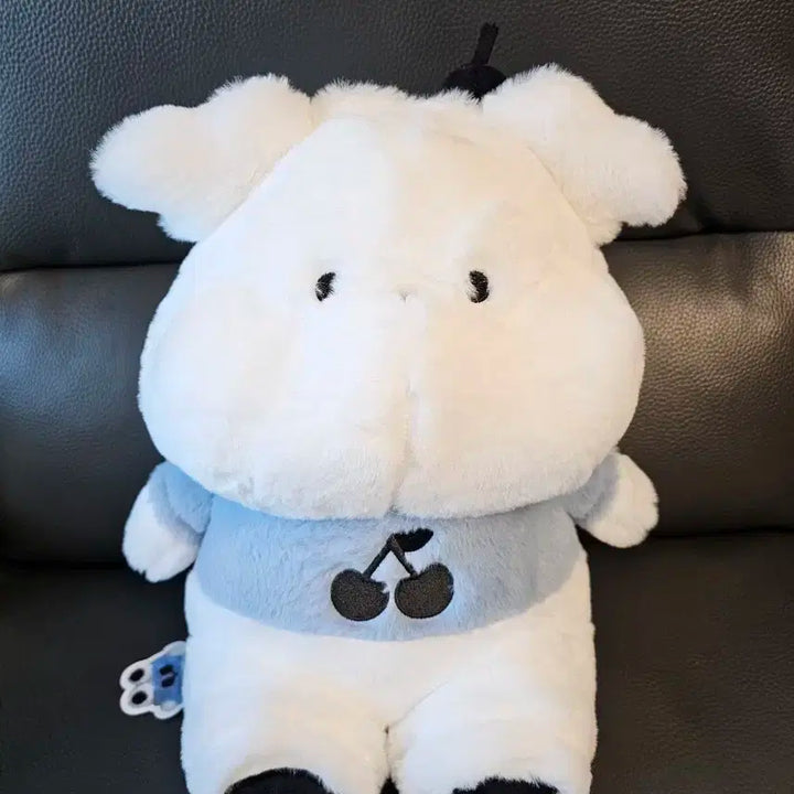 곰인형 판매합니다