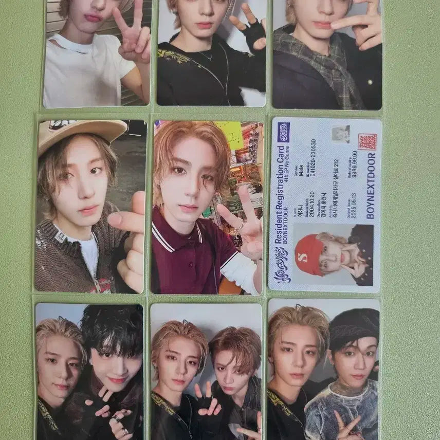 노장르 이한 앨포 일괄 보넥도