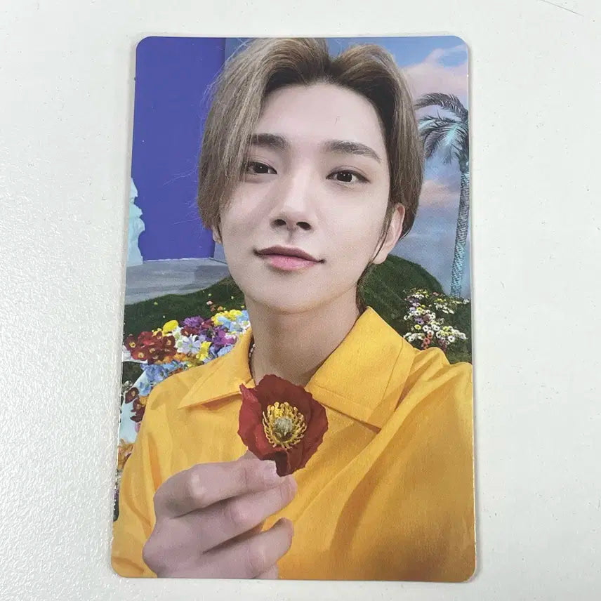 세븐틴 조슈아 섹터17 달링 키트버전 키노 앨범 포카 포토카드