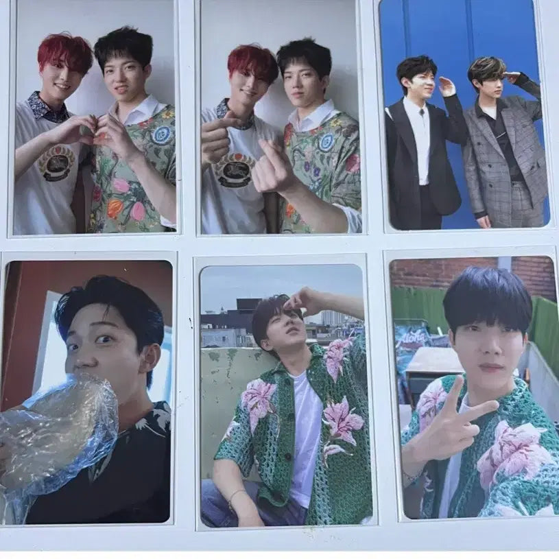 데이식스 도운 포카 20장 일괄 판매