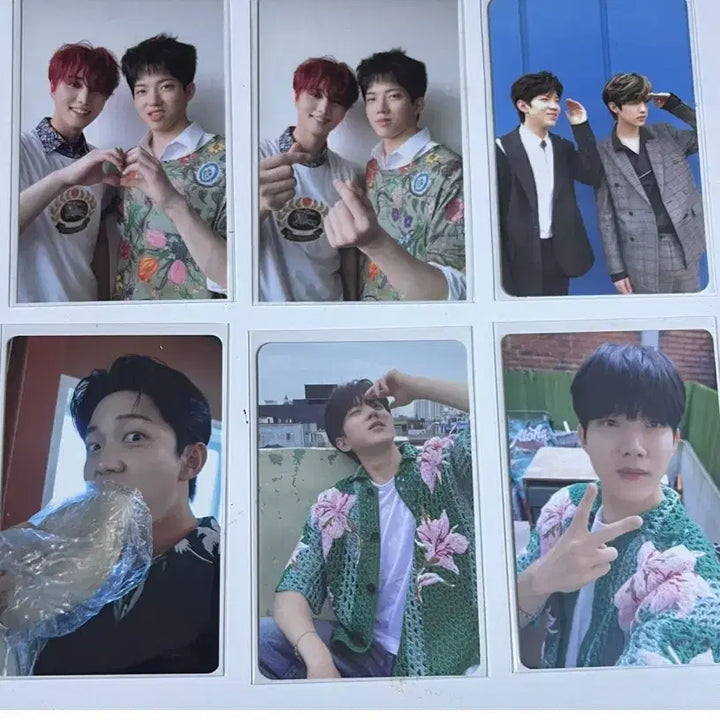 데이식스 도운 포카 20장 일괄 판매