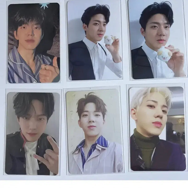 데이식스 도운 포카 20장 일괄 판매