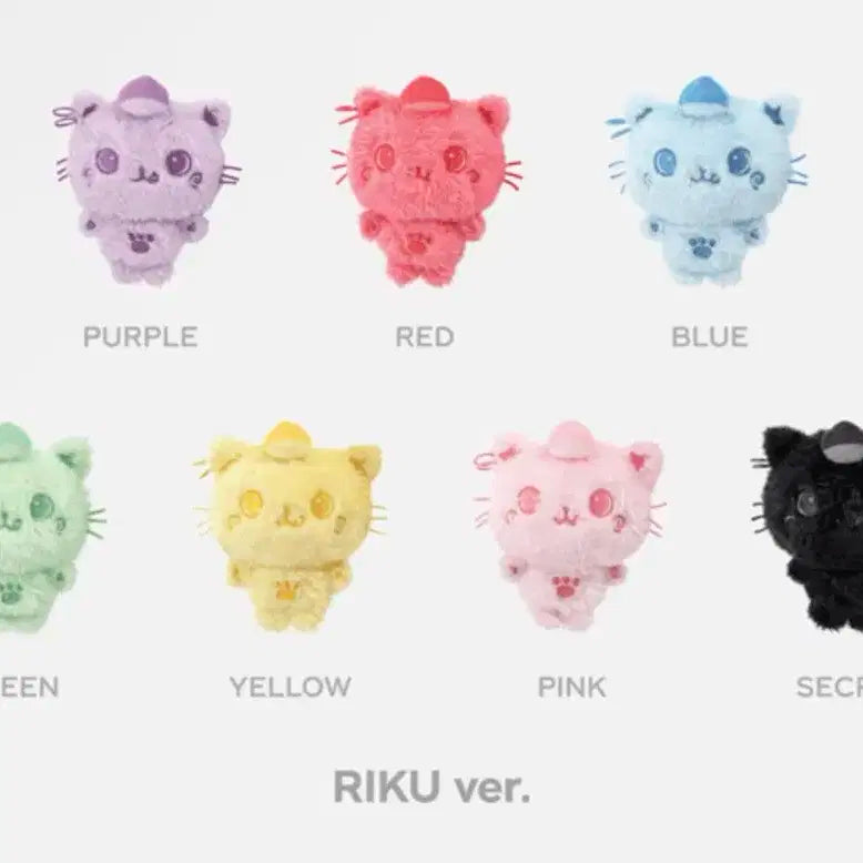 엔시티위시 컬러위시돌 쿠리