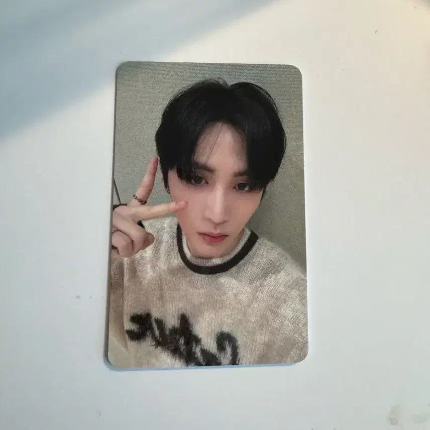 태산 원도어 그랜드 오픈 이벤트 포카 양도 | 보넥도보이넥스트도어포카태산