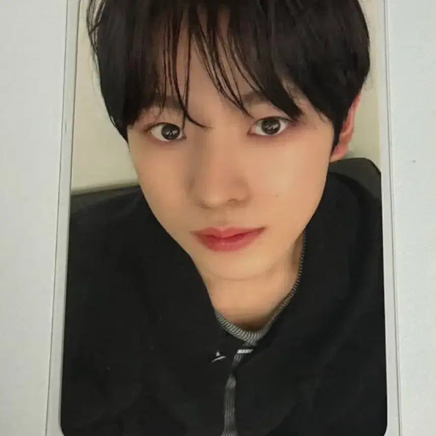 엔시티위시 유우시 포카 판매 양도 교환 나눔 분철 일괄 에버위시