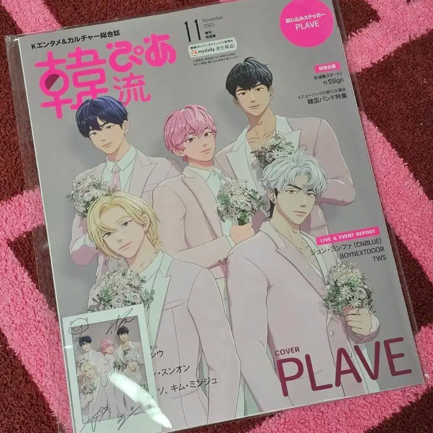 플레이브 한류피아 미개봉 (포카o)