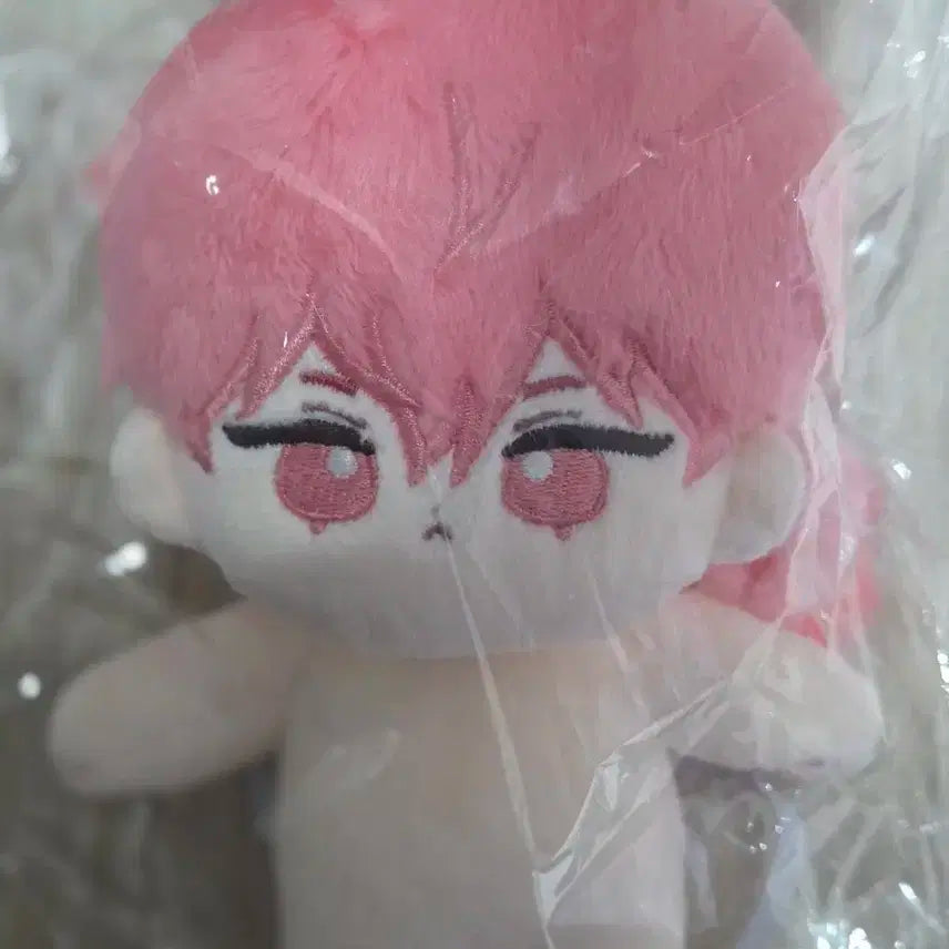 플레이브 빠니밤비