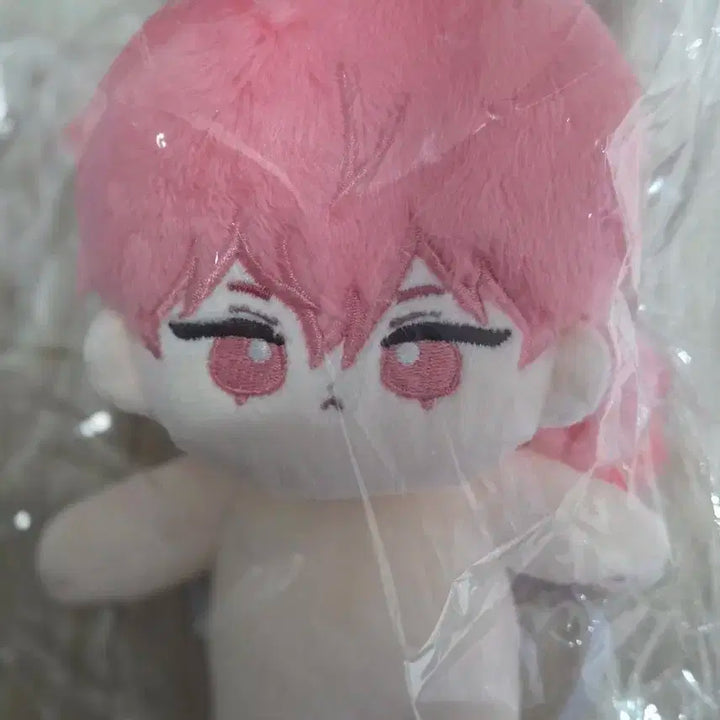 플레이브 빠니밤비