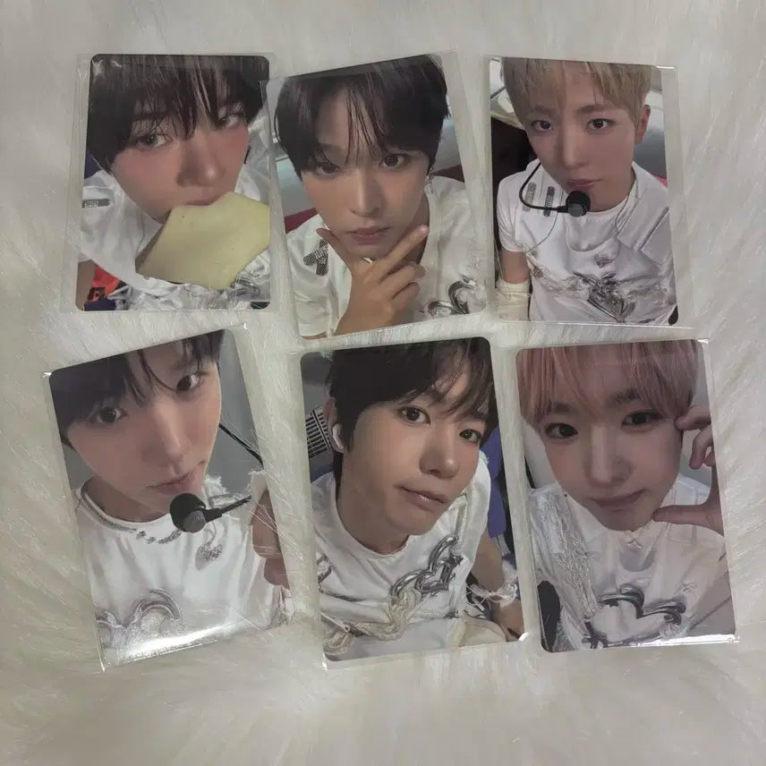 (미개봉+미공포)엔시티위시 컬러 쥬얼 앨범 시온 유우시 리쿠