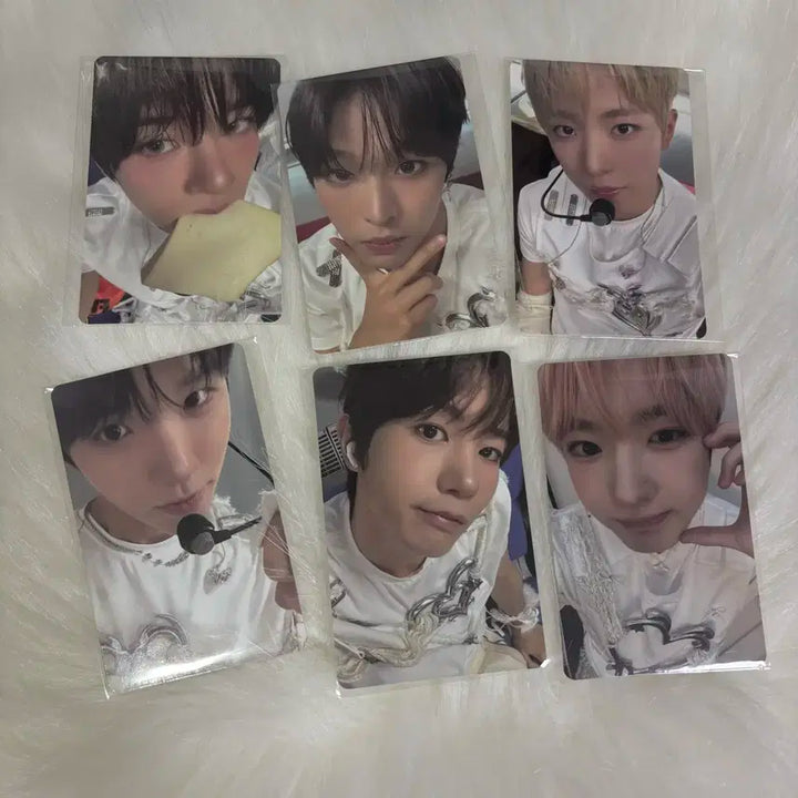 (미개봉+미공포)엔시티위시 컬러 쥬얼 앨범 시온 유우시 리쿠