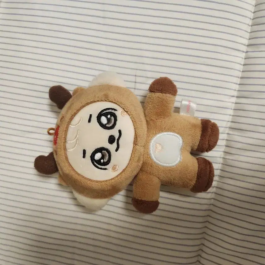 크리스마스 강안지