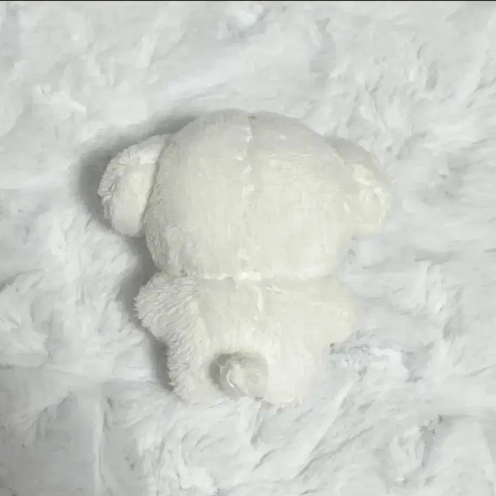 크래비티 민희 인형 깨뭉이 양도 10cm 강몽이 미니쥬 크크루 강몽이