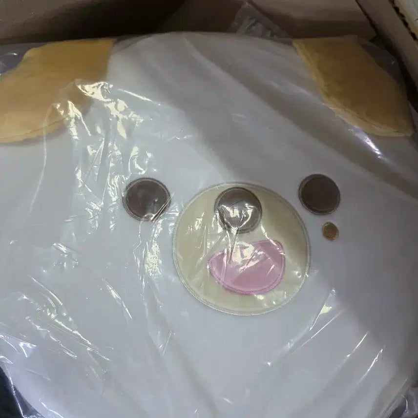 데이식스 방석 돈