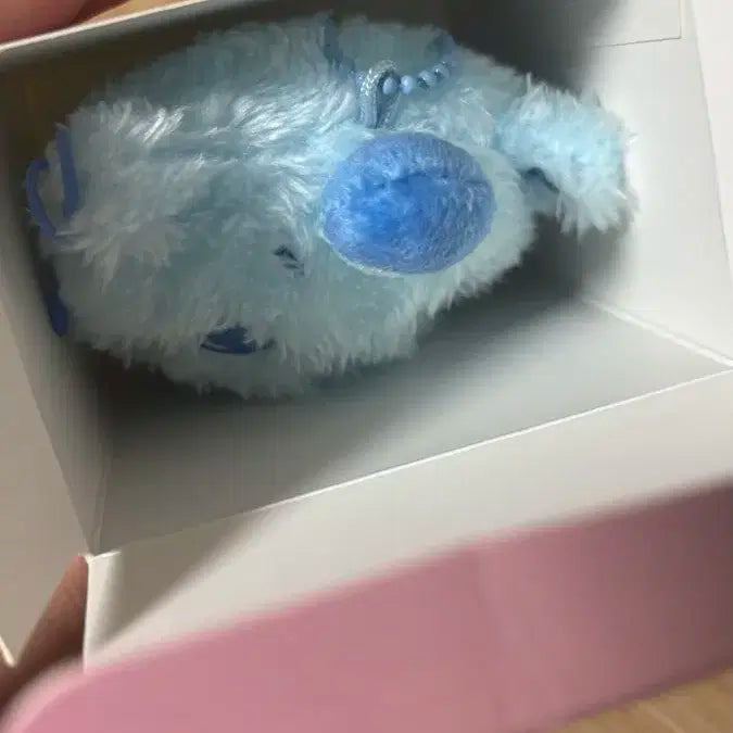 엔시티위시 엔위시 쿠리 냉동쿠리 파란쿠리 원가양도