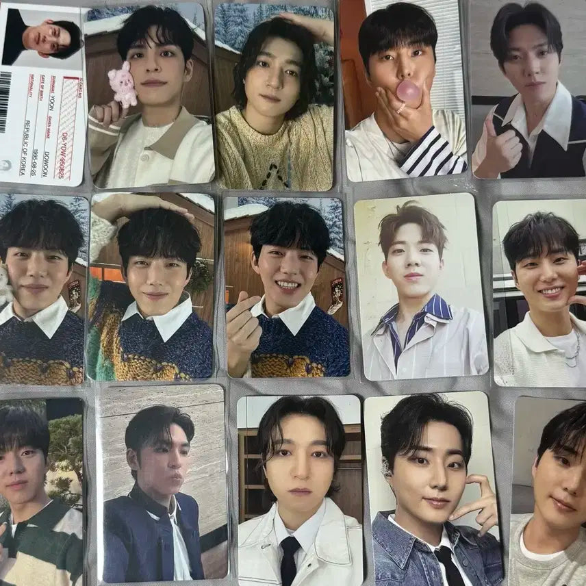 데이식스 포토카드 처분 50장