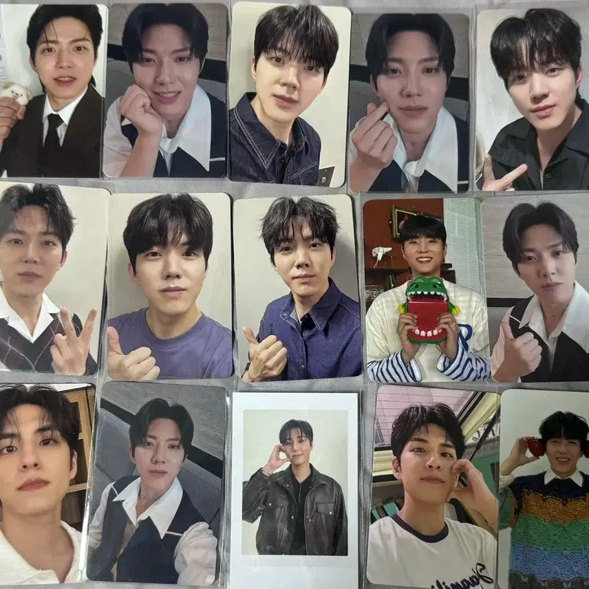 데이식스 포토카드 처분 50장