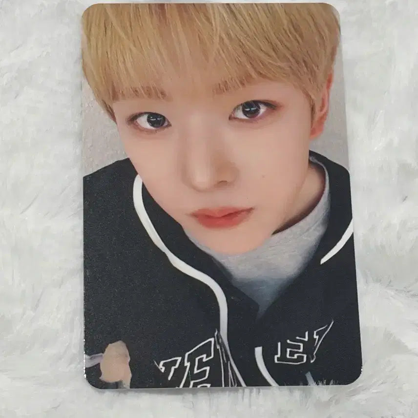 엔시티위시 nct wish 컬러 메이크스타 미공포 유우시 포카