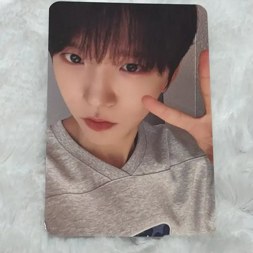 엔시티위시 nct wish 컬러 메이크스타 미공포 재희 포카