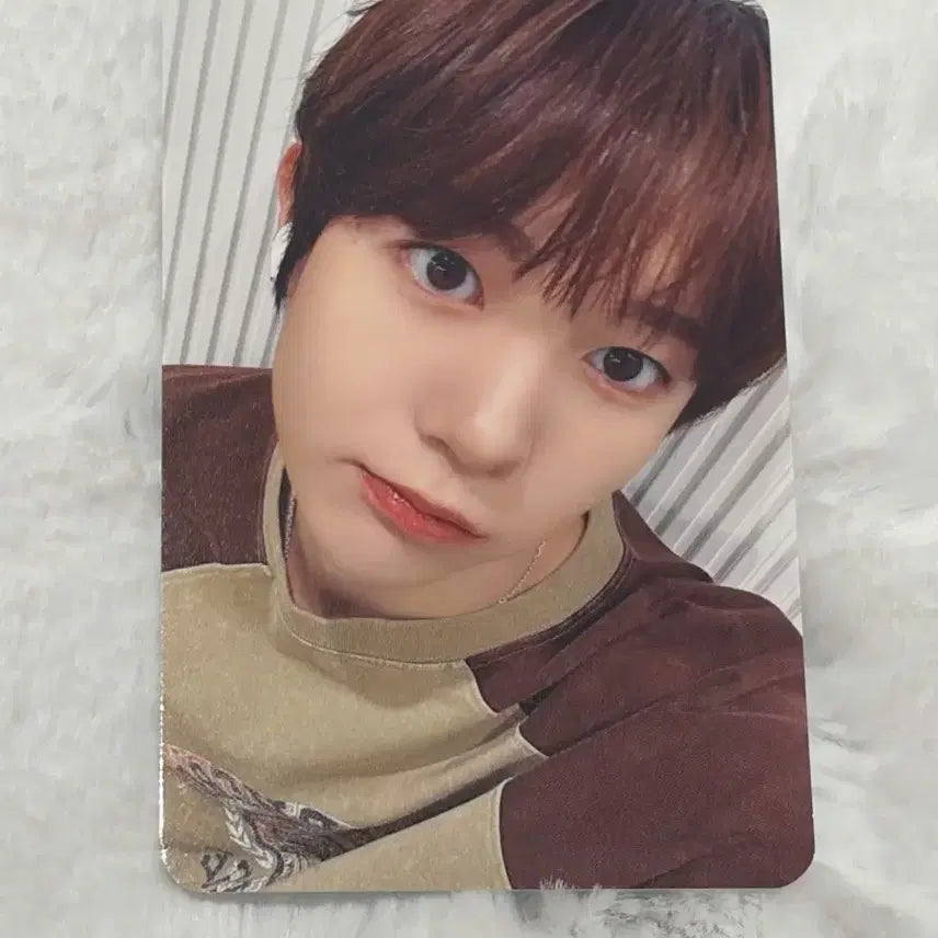 엔시티위시 nct wish 컬러 메이크스타 미공포 료 포카