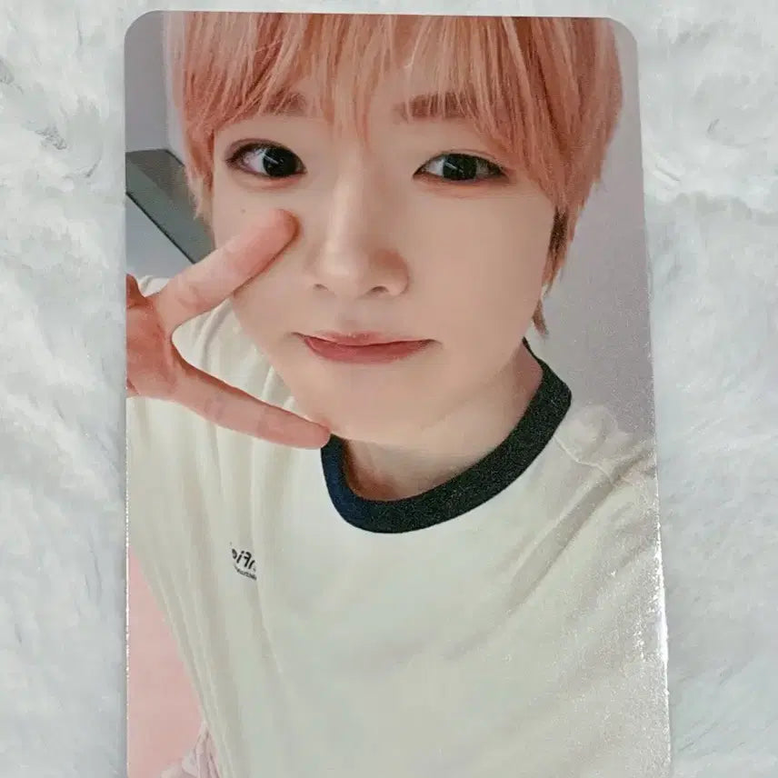 엔시티위시 nct wish 컬러 메이크스타 미공포 사쿠야 포카