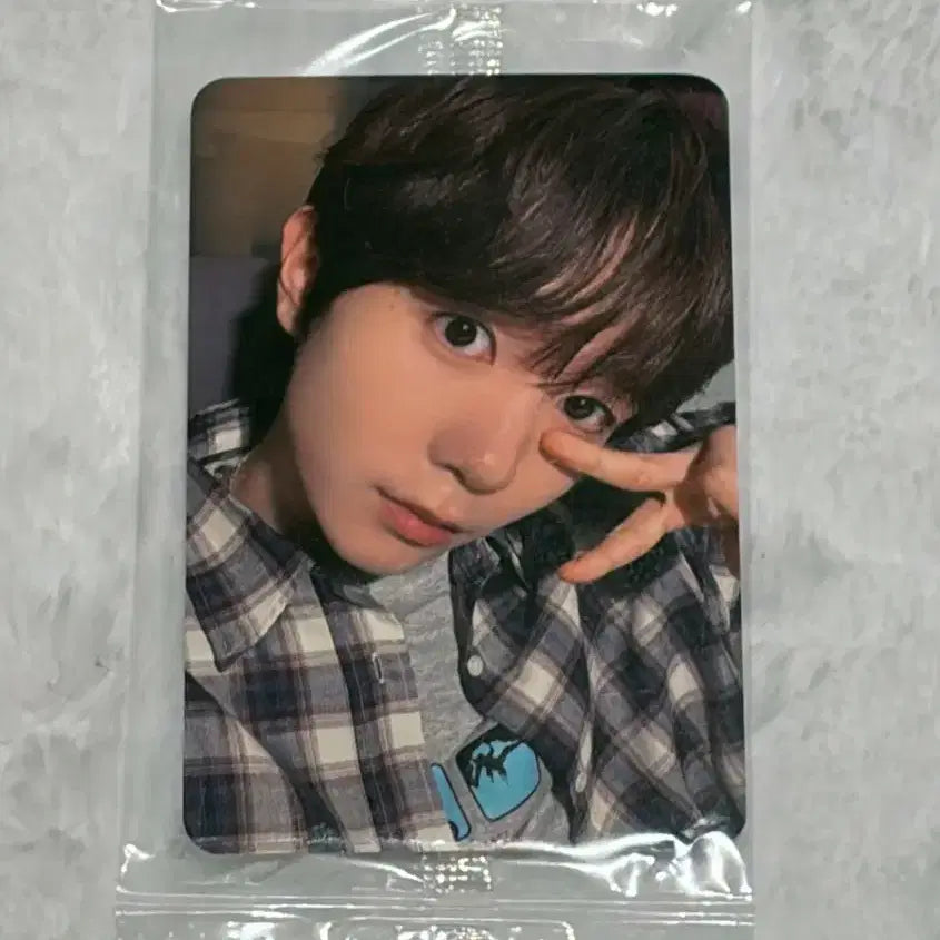 엔시티위시 nct wish 컬러 케타포 미공포 료 포카