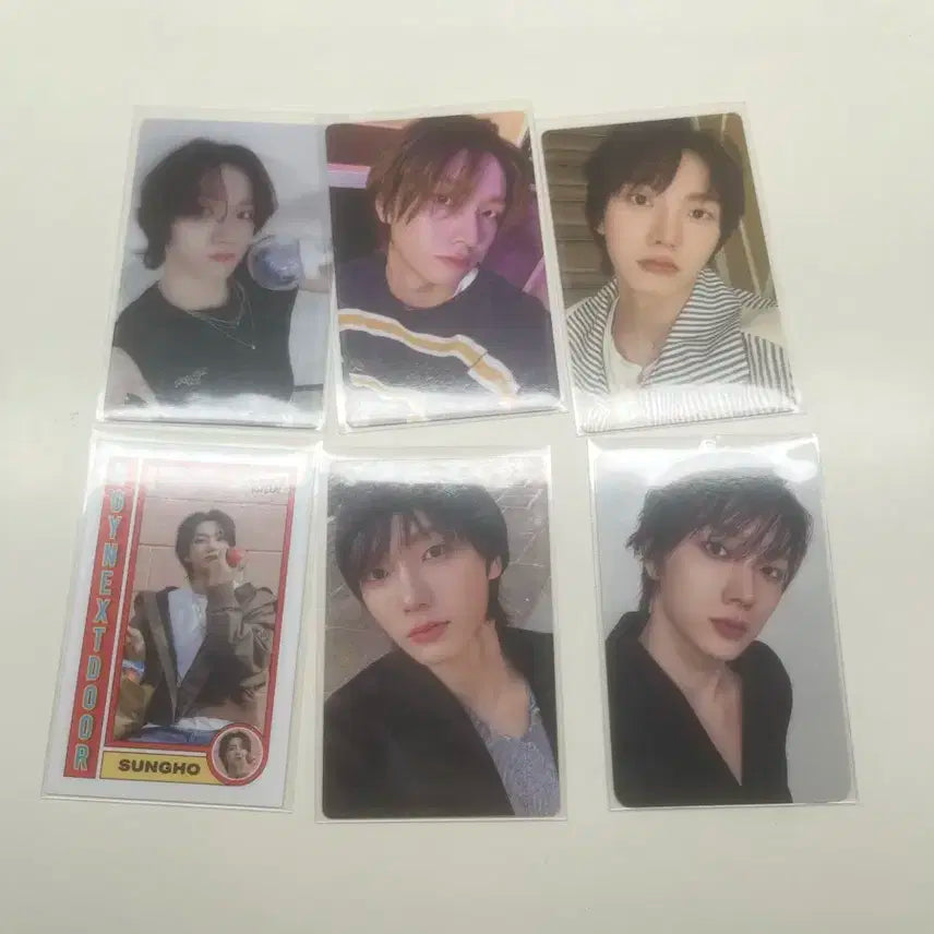 보넥도 성호 포카 일괄판매