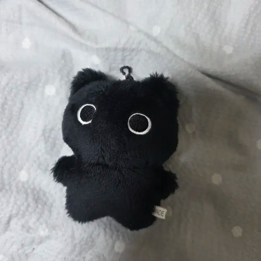 라이즈 원빈 깜소 인형