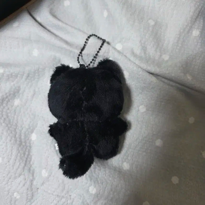 라이즈 원빈 깜소 인형