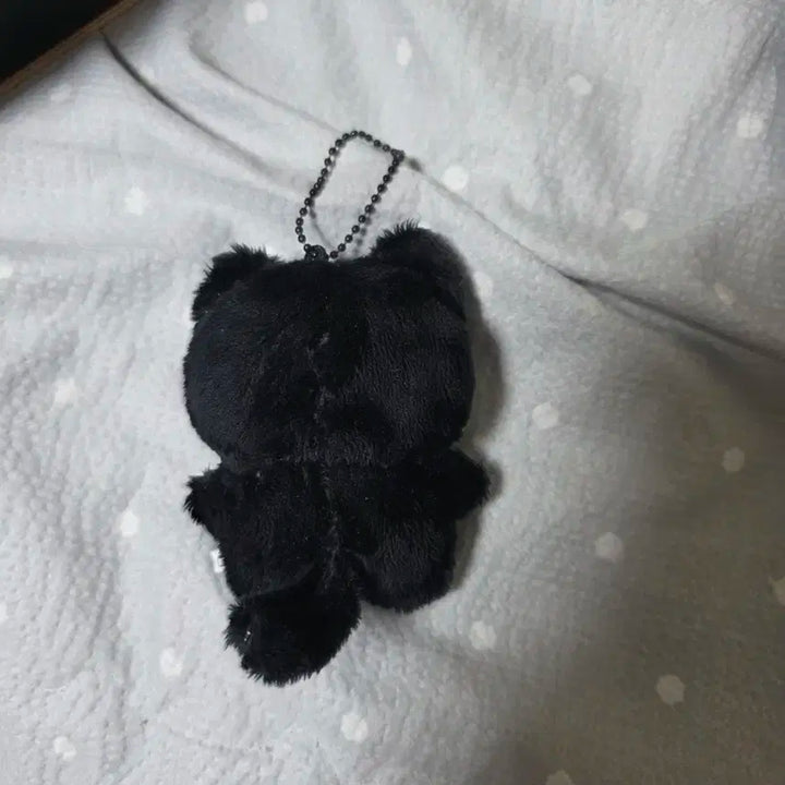 라이즈 원빈 깜소 인형