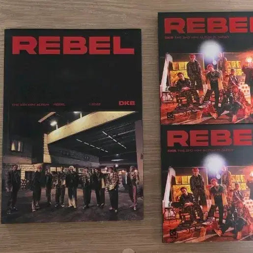 다크비 REBEL 앨범 판매