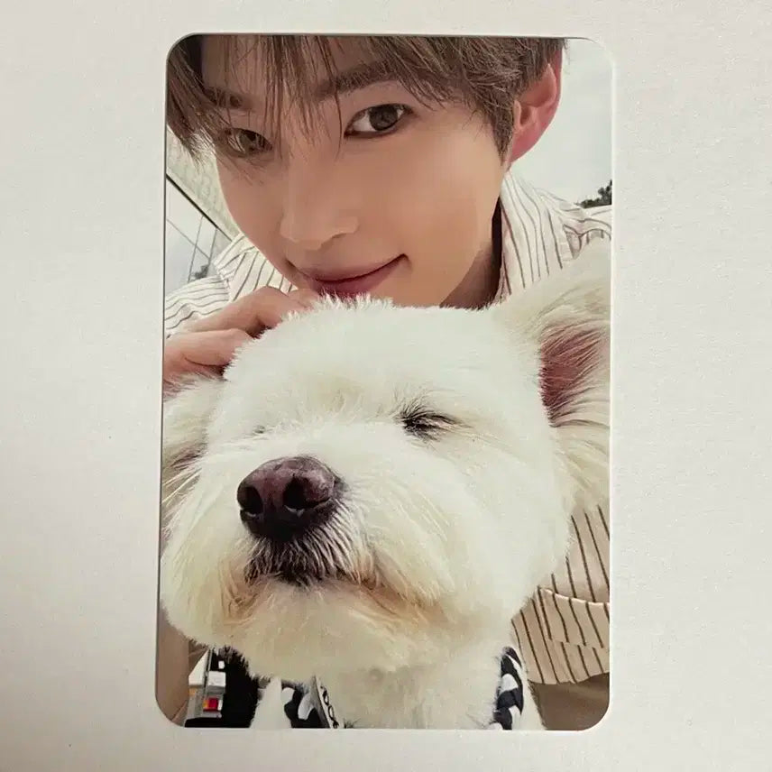 제로제이스원 단체 디지팩 성한빈 레오 포카 판매